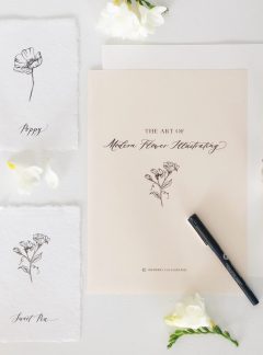 Modern Flower Illustrating Lesson