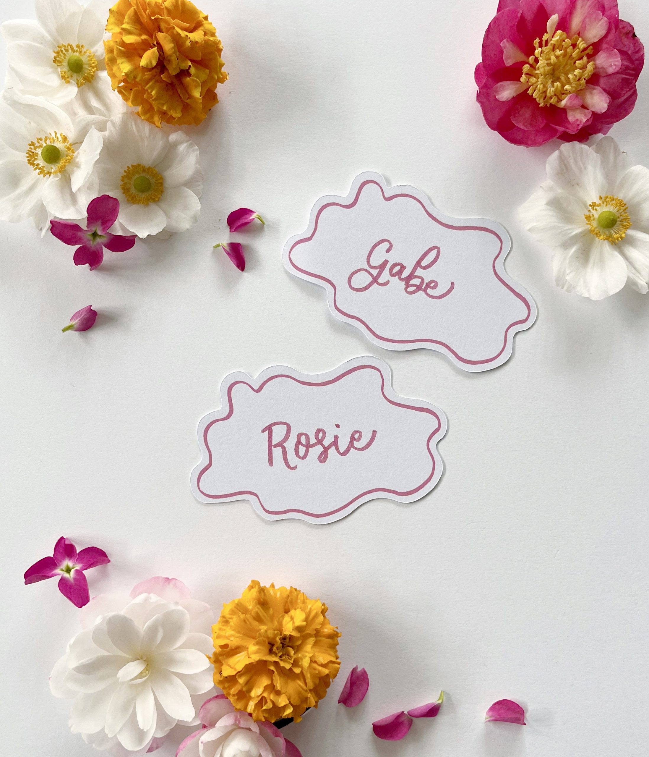 Bright Squiggle Place Cards - Oval Pink